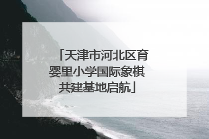 天津市河北区育婴里小学国际象棋共建基地启航