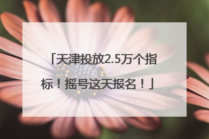 天津投放2.5万个指标！摇号这天报名！