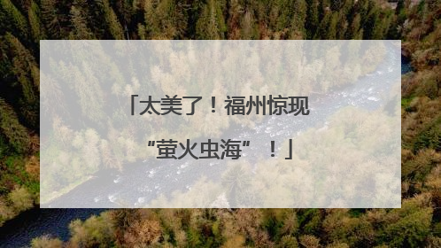 太美了！福州惊现“萤火虫海”！