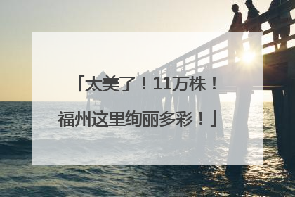 太美了！11万株！福州这里绚丽多彩！