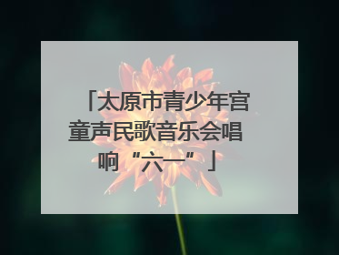 太原市青少年宫童声民歌音乐会唱响“六一”