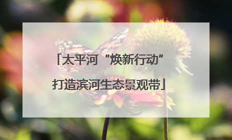 太平河“焕新行动” 打造滨河生态景观带