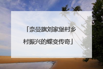 奈曼旗刘家堡村乡村振兴的蝶变传奇