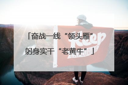 奋战一线“领头雁” 躬身实干“老黄牛”