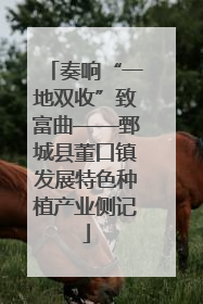 奏响“一地双收”致富曲——鄄城县董口镇发展特色种植产业侧记