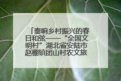 奏响乡村振兴的春日和弦——“全国文明村”湖北省安陆市赵棚镇团山村农文旅融合发展见闻