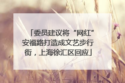 委员建议将“网红”安福路打造成文艺步行街，上海徐汇区回应