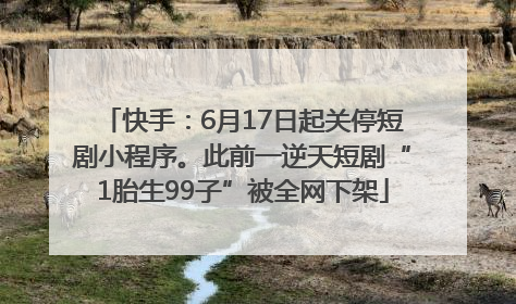 快手：6月17日起关停短剧小程序。此前一逆天短剧“1胎生99子”被全网下架