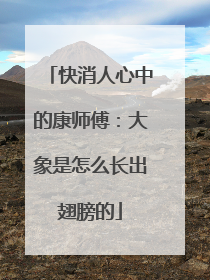 快消人心中的康师傅：大象是怎么长出翅膀的