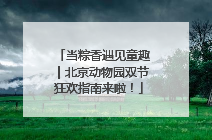 当粽香遇见童趣｜北京动物园双节狂欢指南来啦！
