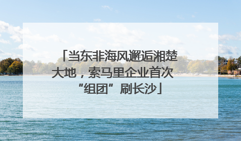 当东非海风邂逅湘楚大地，索马里企业首次“组团”刷长沙