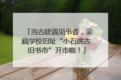 当古建遇见书香，蒙藏学校旧址“小石虎古旧书市”开市啦！