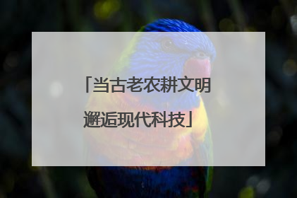 当古老农耕文明邂逅现代科技