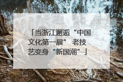 当浙江邂逅“中国文化第一展” 老技艺变身“新国潮”