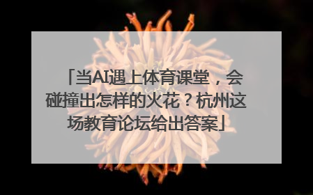 当AI遇上体育课堂，会碰撞出怎样的火花？杭州这场教育论坛给出答案