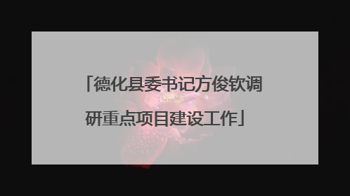 德化县委书记方俊钦调研重点项目建设工作
