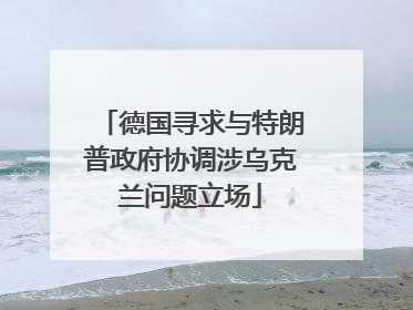 德国寻求与特朗普政府协调涉乌克兰问题立场