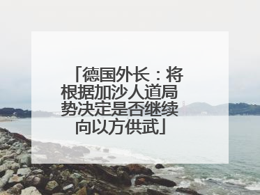 德国外长：将根据加沙人道局势决定是否继续向以方供武