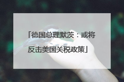 德国总理默茨：或将反击美国关税政策