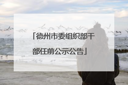 德州市委组织部干部任前公示公告