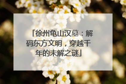 徐州龟山汉墓：解码东方文明，穿越千年的未解之谜