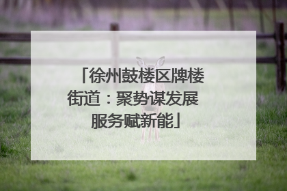 徐州鼓楼区牌楼街道：聚势谋发展 服务赋新能