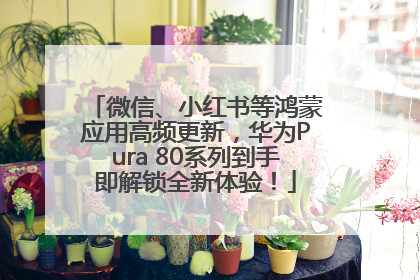 微信、小红书等鸿蒙应用高频更新，华为Pura 80系列到手即解锁全新体验！