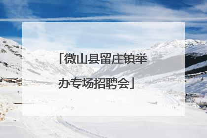 微山县留庄镇举办专场招聘会