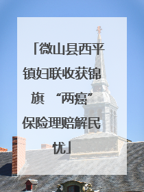 微山县西平镇妇联收获锦旗 “两癌”保险理赔解民忧