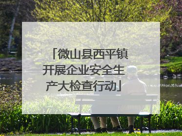 微山县西平镇开展企业安全生产大检查行动