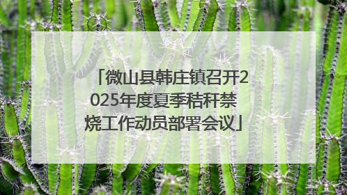 微山县韩庄镇召开2025年度夏季秸秆禁烧工作动员部署会议
