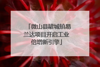 微山县驩城镇易兰达项目开启工业倍增新引擎