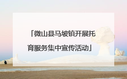 微山县马坡镇开展托育服务集中宣传活动