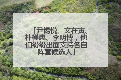 尹锡悦、文在寅、朴槿惠、李明博，他们纷纷出面支持各自阵营候选人