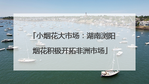 小烟花大市场：湖南浏阳烟花积极开拓非洲市场