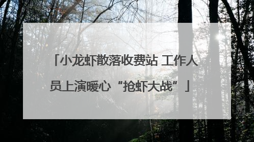 小龙虾散落收费站 工作人员上演暖心“抢虾大战”