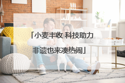 小麦丰收 科技助力 非遗也来凑热闹