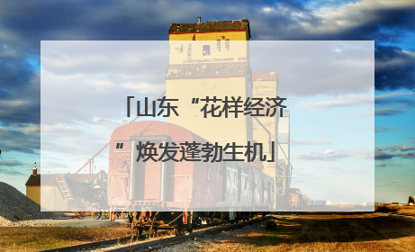 山东“花样经济”焕发蓬勃生机