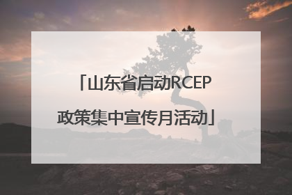 山东省启动RCEP政策集中宣传月活动