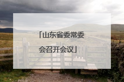 山东省委常委会召开会议