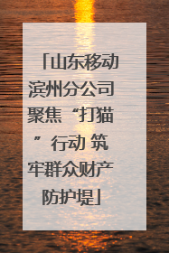 山东移动滨州分公司聚焦“打猫”行动 筑牢群众财产防护堤