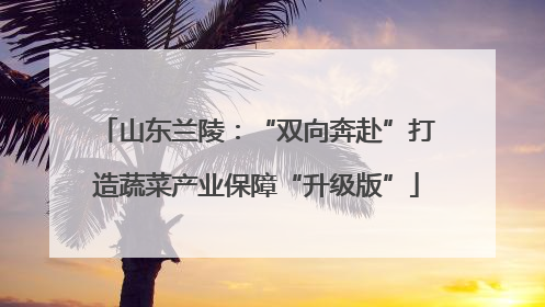 山东兰陵：“双向奔赴”打造蔬菜产业保障“升级版”