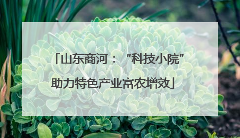山东商河：“科技小院”助力特色产业富农增效