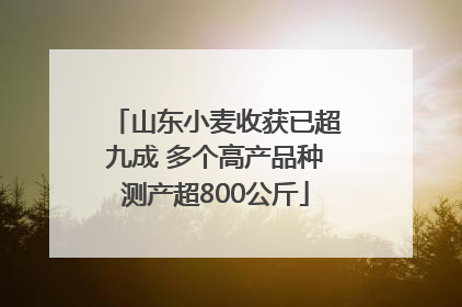 山东小麦收获已超九成 多个高产品种测产超800公斤