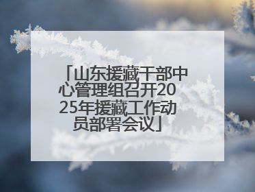 山东援藏干部中心管理组召开2025年援藏工作动员部署会议