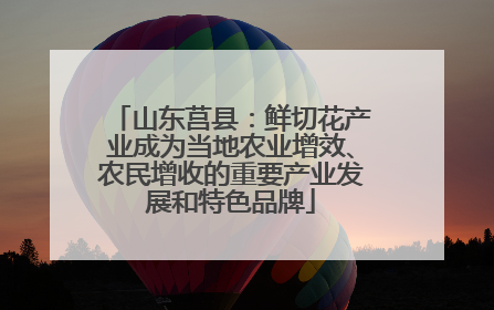 山东莒县：鲜切花产业成为当地农业增效、农民增收的重要产业发展和特色品牌