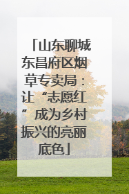 山东聊城东昌府区烟草专卖局：让“志愿红”成为乡村振兴的亮丽底色
