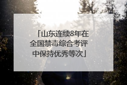 山东连续8年在全国禁毒综合考评中保持优秀等次