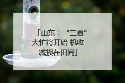 山东：“三夏”大忙将开始 机收减损在田间