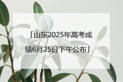 山东2025年高考成绩6月25日下午公布